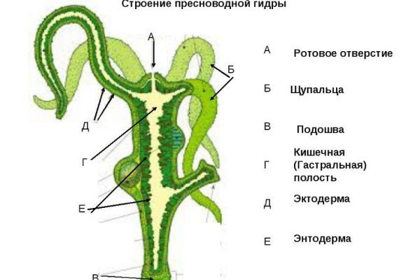 Онион сайты