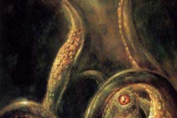 Kraken biz